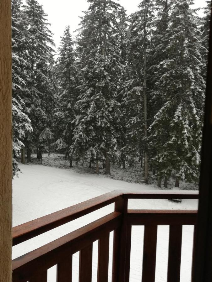 Hq Apartments Villa Park Borovets Eksteriør billede